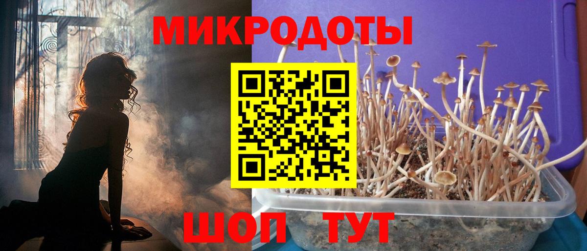 Галлюциногенные грибы Psilocybine cubensis  Галлюциногенные грибы Psilocybe  Вход с VPN  Киров 